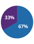 Checks and Balances pie chart